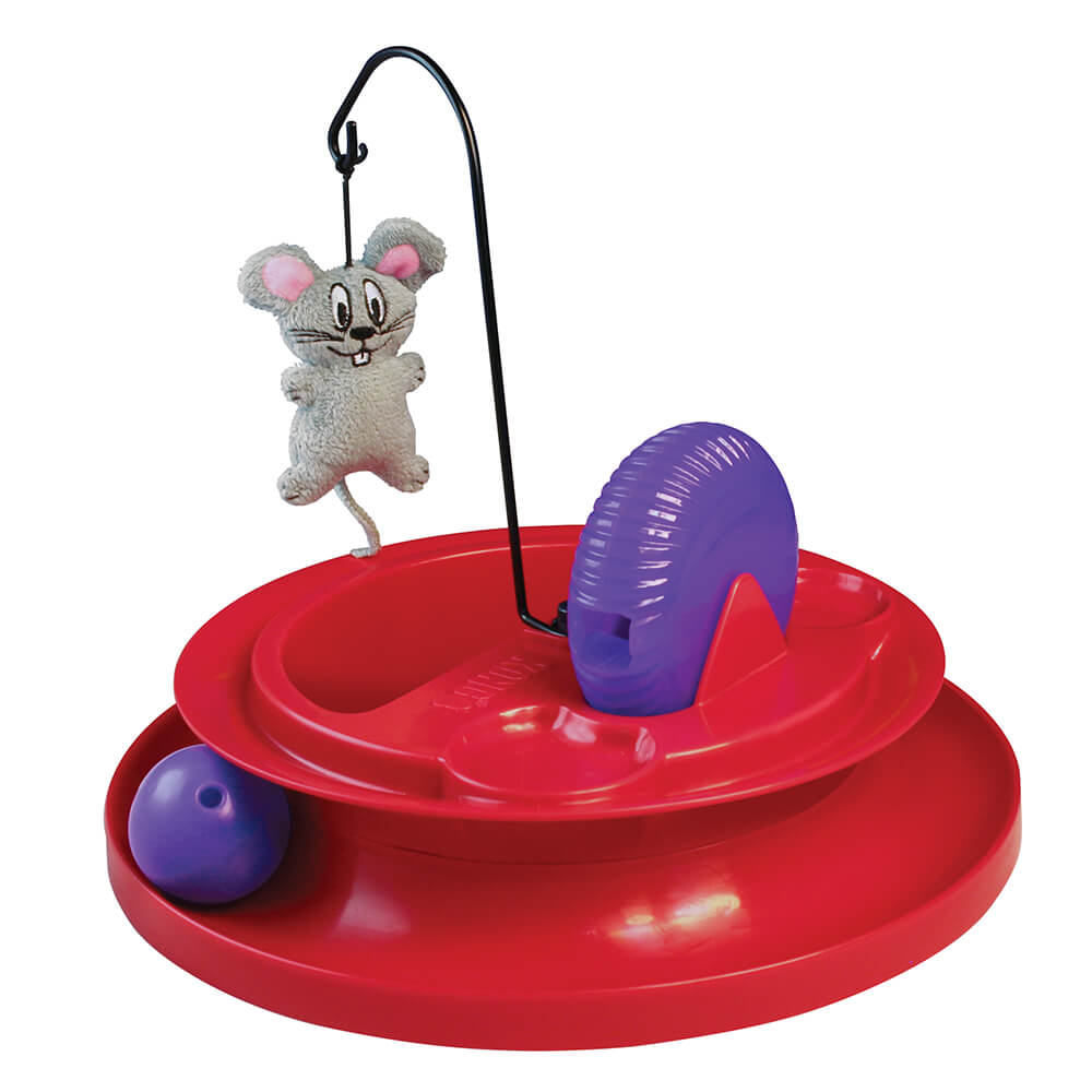 kong puzzle toy