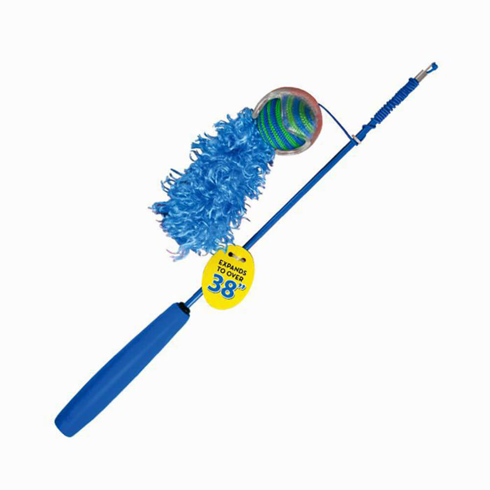 kitty fishing pole