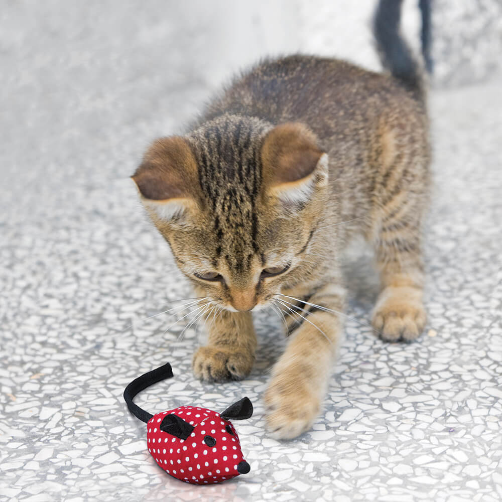 patchwork pet premium plush toy