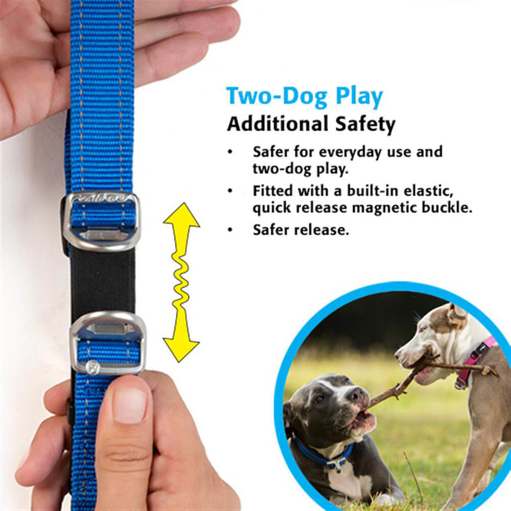 Rogz Reflective Utility Safety Collar