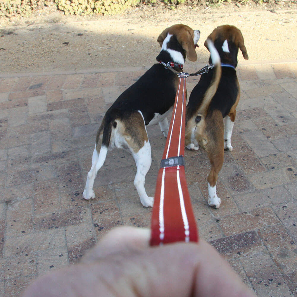 Rogz Reflective Utility Split Lead