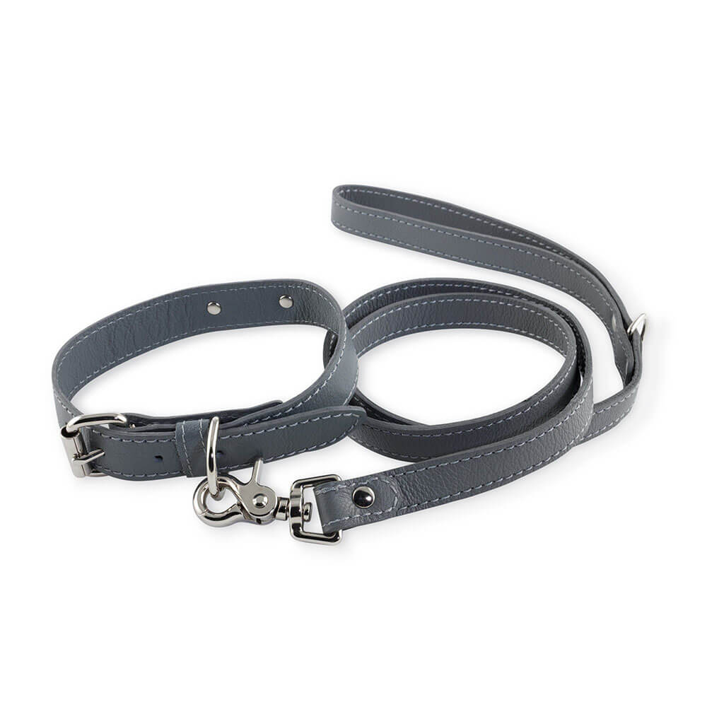 Leads, Harnesses & Collars