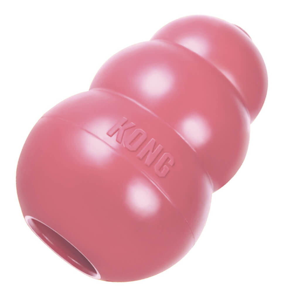 KONG Puppy Treat Toy