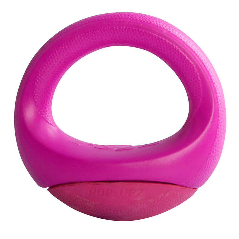 Rogz Pop-Upz Self-Righting Float & Fetch Dog Toy