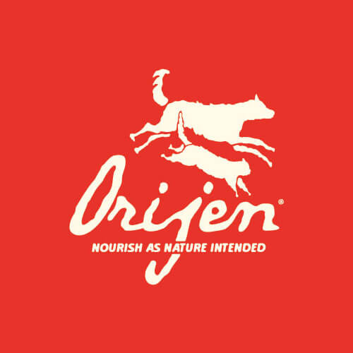 Orjien